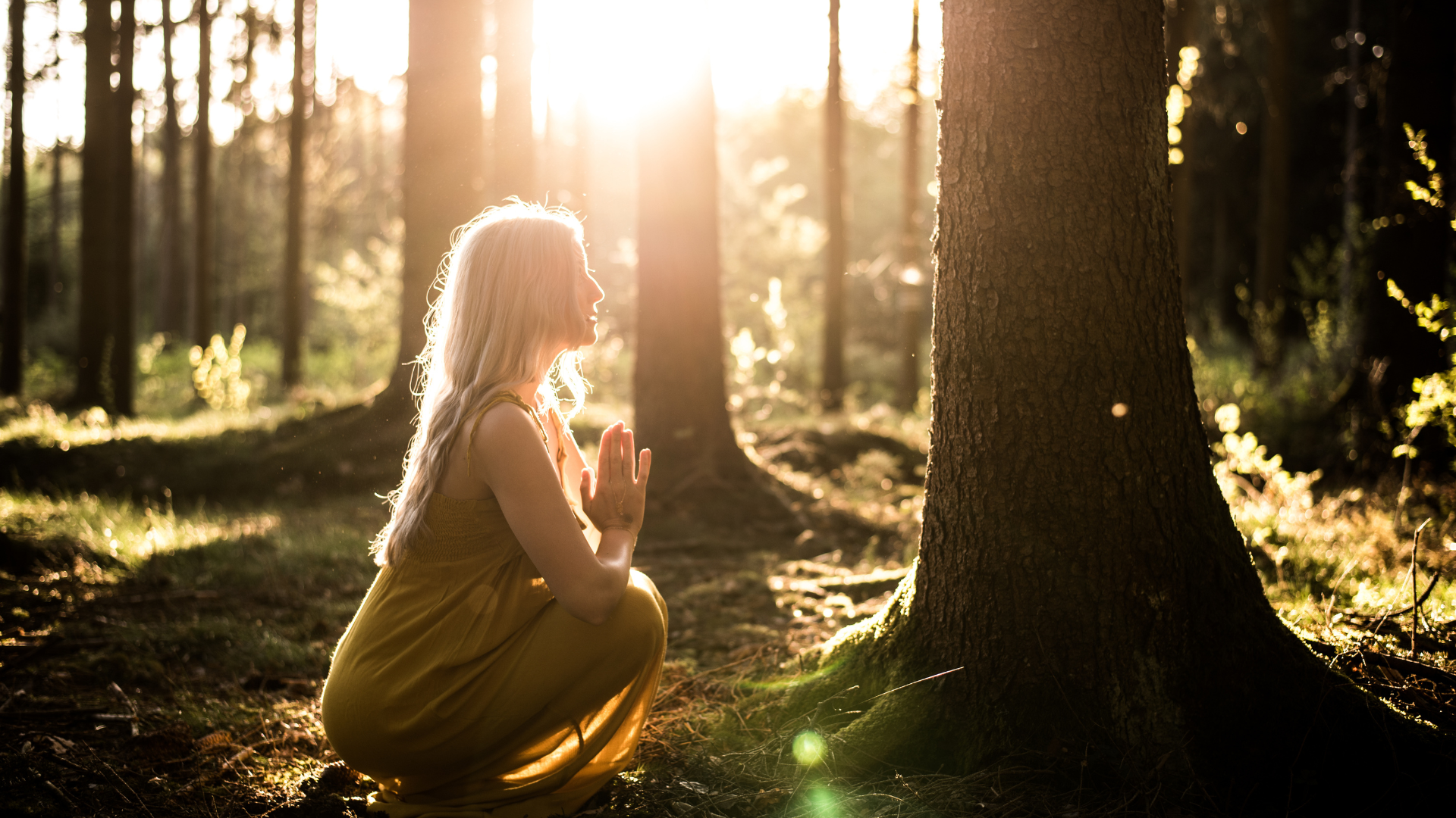 Woman in the forest admiring the trees.