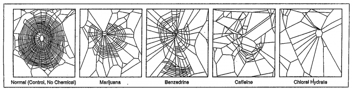 Spider webs, normal spider webs, deformed webs, spiders on too much caffeine, negative effect of caffeine on spiders people and sleep