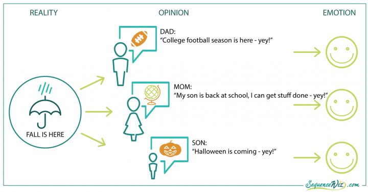 diagram illustrating the relationship between reality, opinion and emotion