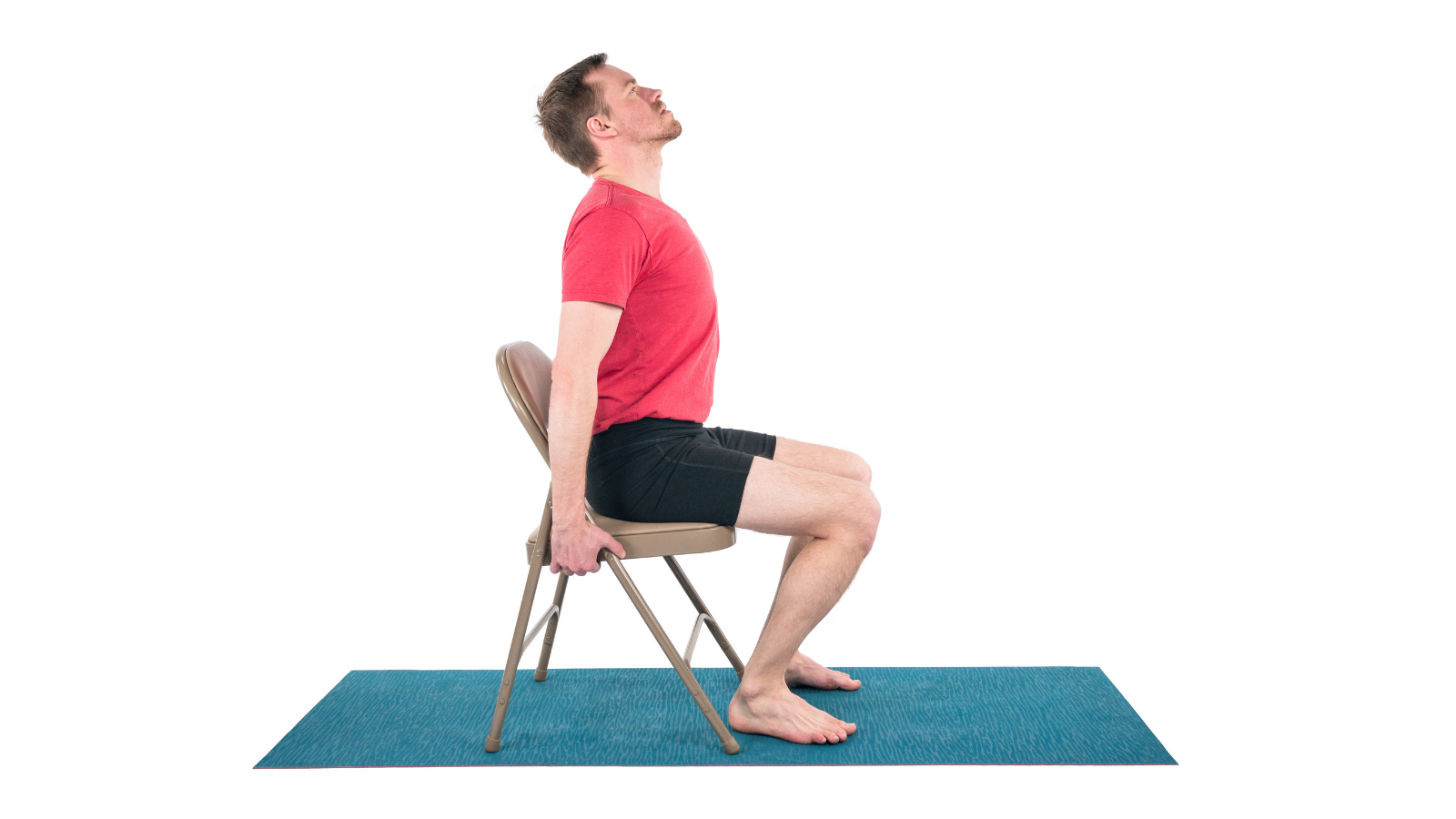 Seated Cat/Cow Pose is a yoga pose version that is great for beginners.