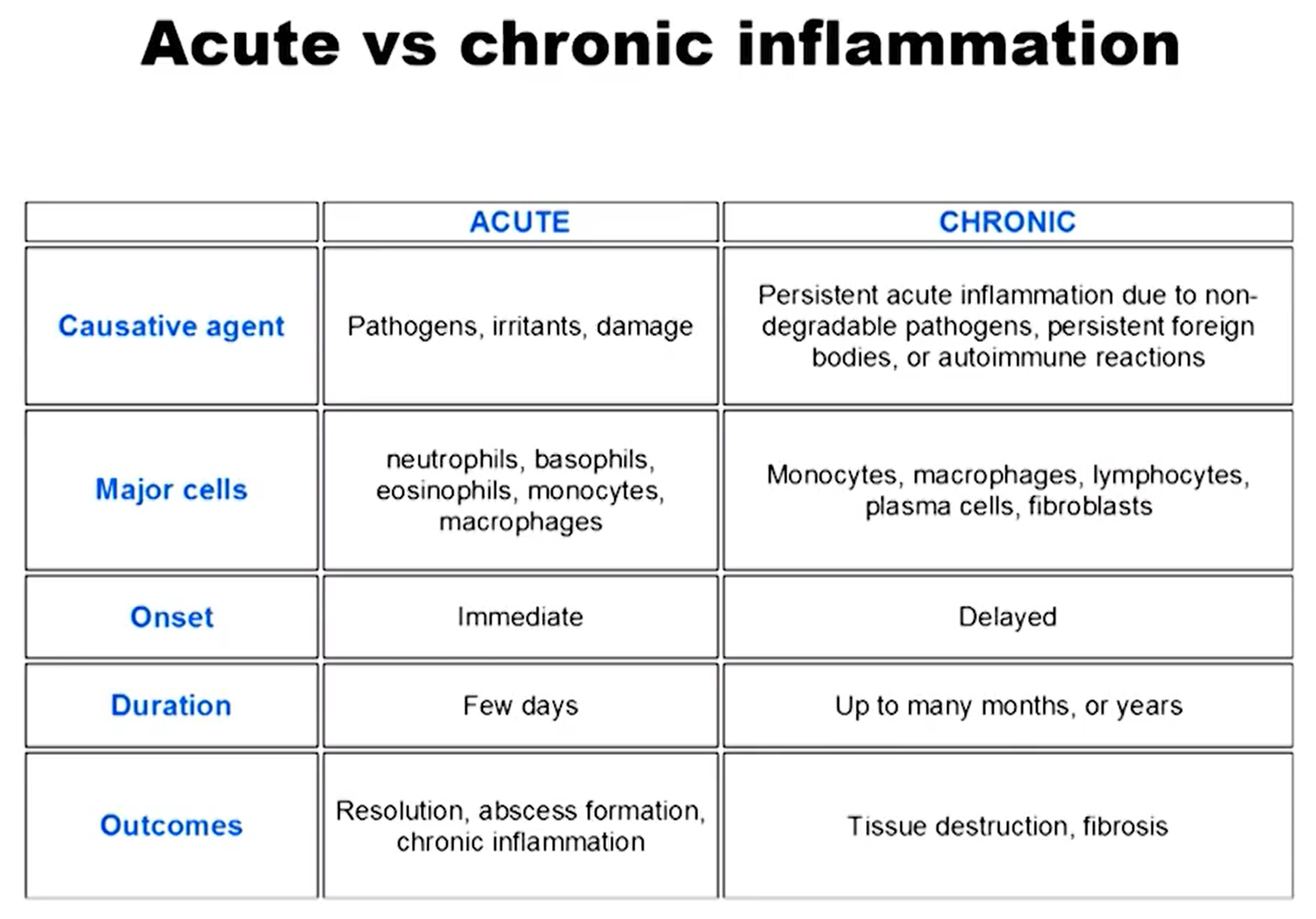 acute vs chronic inflammation, inflammation and long term effects on the body