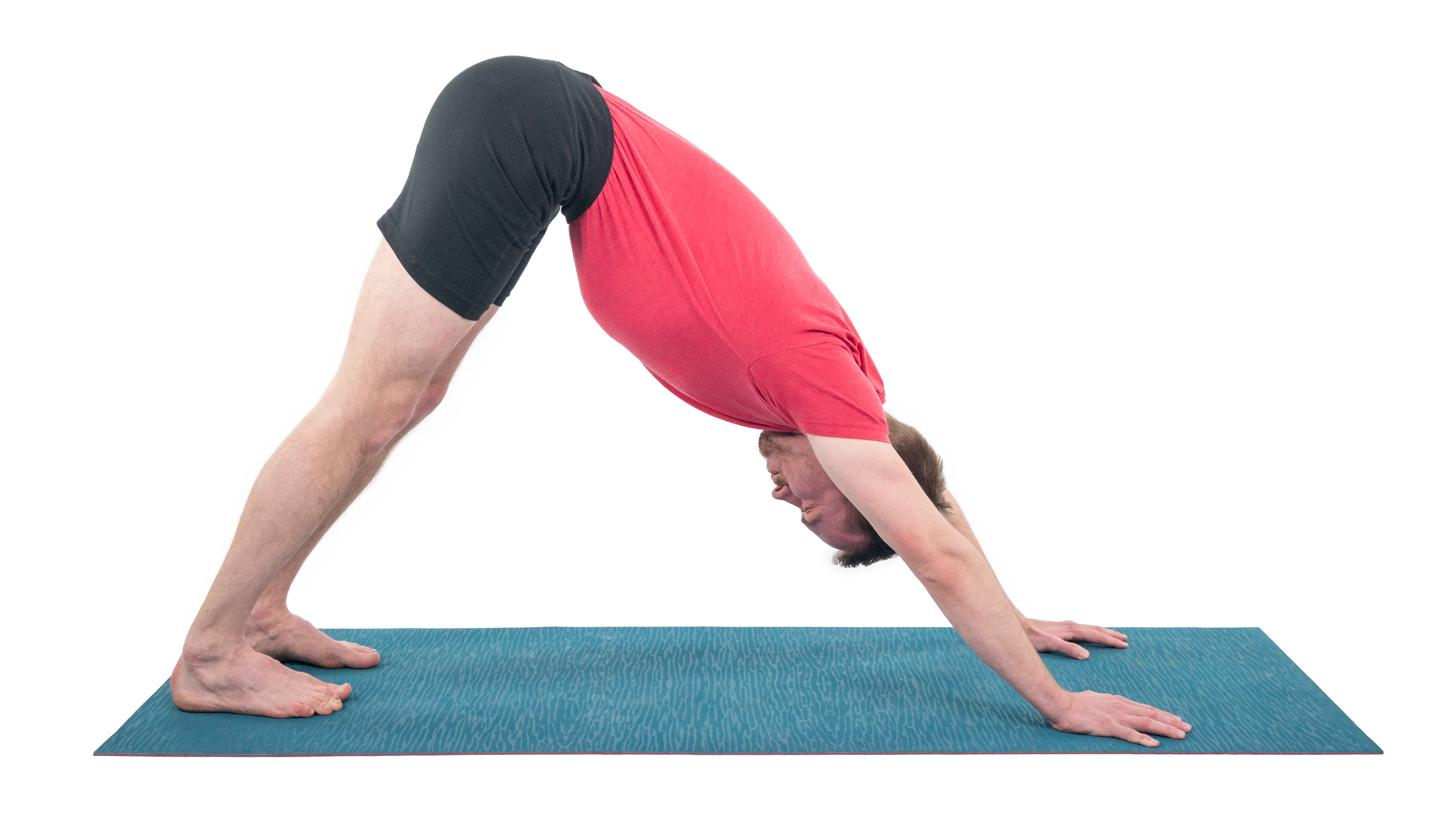 Adho Mukha Svanasana, downward facing dog, inversion pose, pose variations and flowing sequence for change