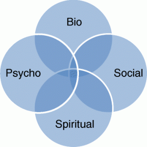 bio, psycho, social, spiritual, the many aspects of trauma