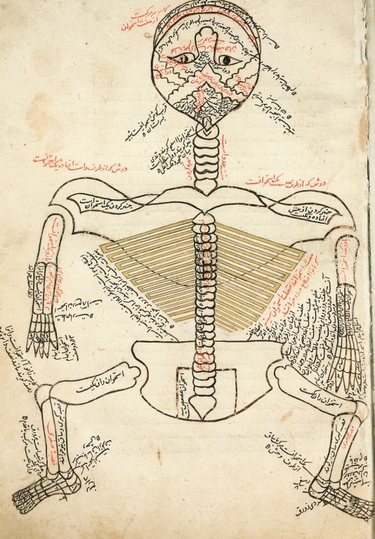 Experiential Anatomy, living from wholeness, rightful nature