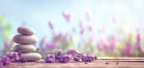 Soothing lavender for better sleep