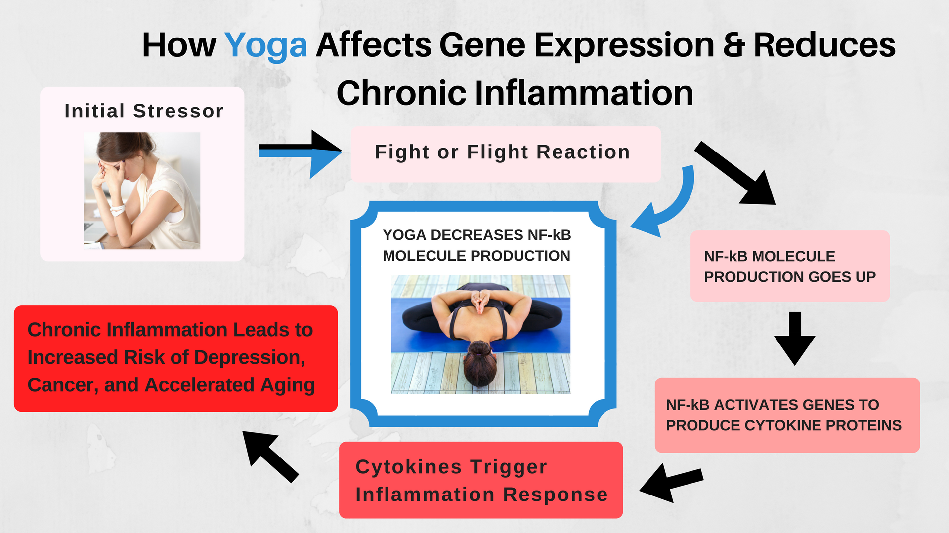 A diagram showing how yoga affects gene expression and chronic inflammation 