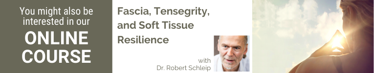 Dr Robert Schleip, International Fascial Anatomy teacher. Fascia researcher, YogaUOnline presenter, Fascia, Tensegrity and Soft Tissue Resilience