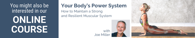 Joe Miller, Yoga instructor, Anantomy teacher, YogaUOnline Presenter, How muscles work