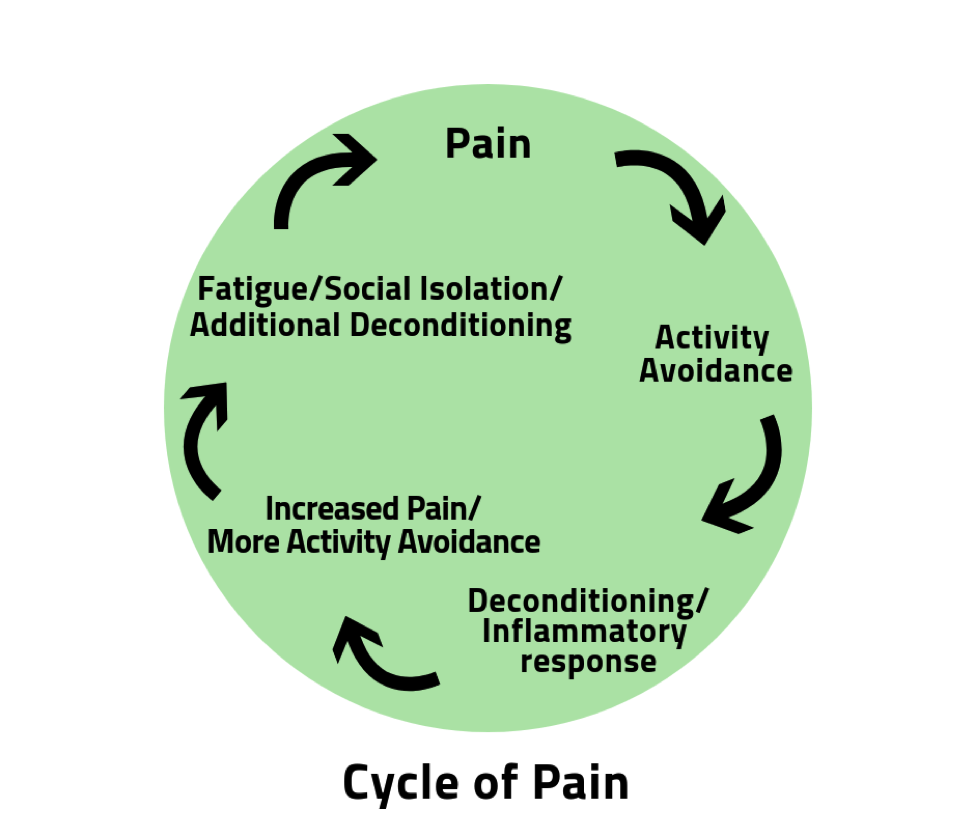 cycle of pain