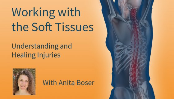 soft tissue injuries, Anita Boser