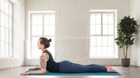 Sphinx Pose is a gentle yoga pose often recommended for SI Joint health and stability.