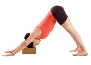 Supported Adho Mukha Svaanasana downward facing dog.