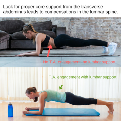 Weak vs strong transverse abdominus in yoga Plank Pose (Kumbhakasana)