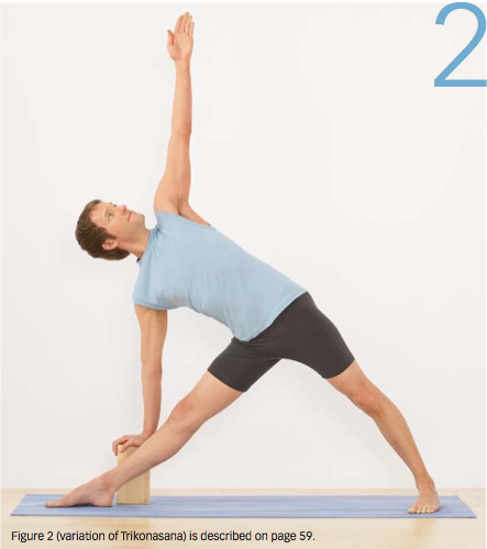 Trikonasana, Triangle pose, Strengthening pose, beginner's yoga, preparatory standing pose, variation with block support. variations in asana, yoga pose primer